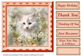 Peach floral kitten card front 9