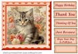 Peach floral kitten card front 10