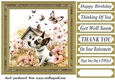 Its a dogs life card front 2