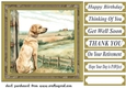 Its a dogs life card front 5