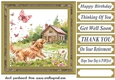 Its a dogs life card front 8