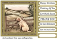 Its a dogs life card front 10