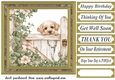 Its a dogs life card front 11