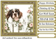 Its a dogs life card front 12