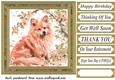 Its a dogs life card front 14