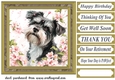 Its a dogs life card front 17