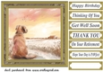 Its a dogs life card front 18