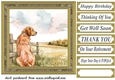 Its a dogs life card front 19