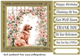 Its a dogs life card front 20