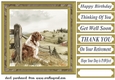 Its a dogs life card front 23