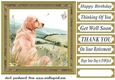 Its a dogs life card front 25