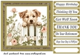 Its a dogs life card front 26