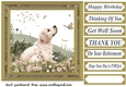 Its a dogs life card front 27