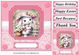 Pink daisy bunny card front 3