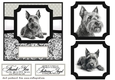 6x6 aprox Mono Scottish terrier card front 1