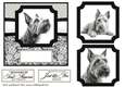 6x6 aprox Mono Scottish terrier card front 2