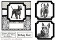 6x6 aprox Mono Scottish terrier card front 3