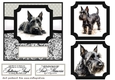 6x6 aprox Mono Scottish terrier card front 6