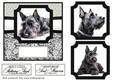 6x6 aprox Mono Scottish terrier card front 7