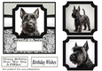 6x6 aprox Mono Scottish terrier card front 9