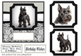 6x6 aprox Mono Scottish terrier card front 10