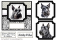 6x6 aprox Mono Scottish terrier card front 11