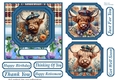 6x6 aprox Scottish Highland cow card front 2