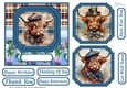 6x6 aprox Scottish Highland cow card front 4