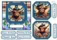 6x6 aprox Scottish Highland cow card front 8