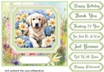 Framed floral puppy card front 3