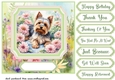 Framed floral puppy card front 4