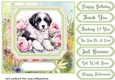 Framed floral puppy card front 5