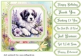 Framed floral puppy card front 6