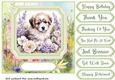 Framed floral puppy card front 7