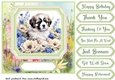 Framed floral puppy card front 12