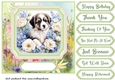 Framed floral puppy card front 14