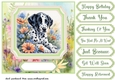 Framed floral puppy card front 17