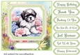 Framed floral puppy card front 20