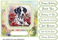 Framed floral puppy card front 21