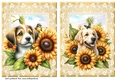 2 Sunflower pup card fronts 2