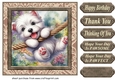 Pup playing in garden card front 3