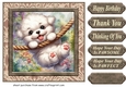 Pup playing in garden card front 18