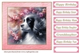 Pink cherry blossom Springer card front 2