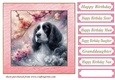 Pink cherry blossom Springer card front 3