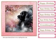 Pink cherry blossom Springer card front 4