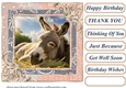 All about the donkey card front 1
