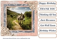 All about the donkey card front 2