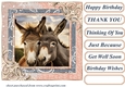 All about the donkey card front 3