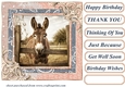 All about the donkey card front 4