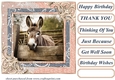 All about the donkey card front 5